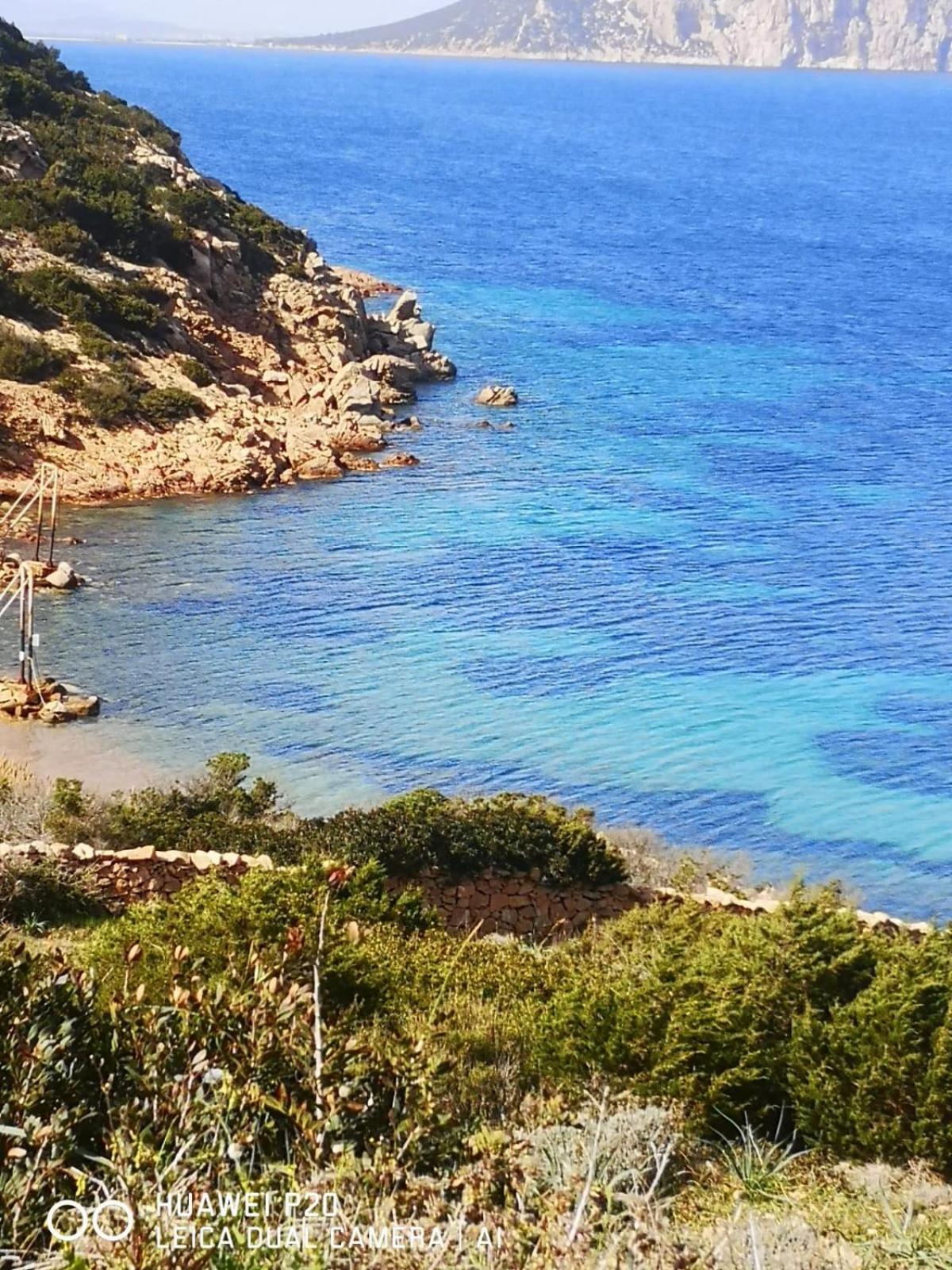 Casa Turquoise Blue